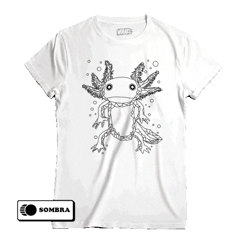 Worales ropa que cambia de color con el sol y la sombra – WORALES